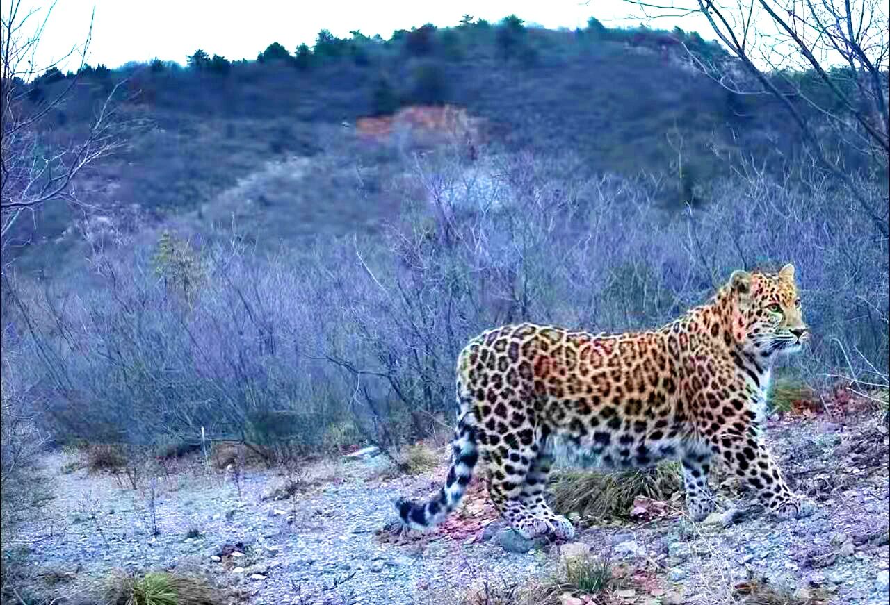 �A�����׬F�����ϲ��ۿh�״������ĵ��A����Ӱ��